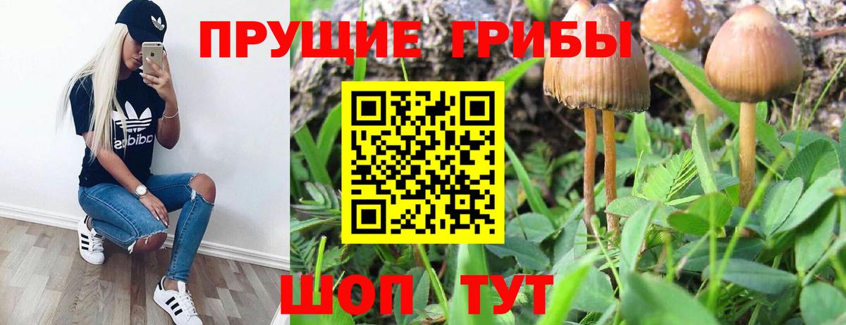 Домодедово  Галлюциногенные грибы мицелий  Вход с VPN 