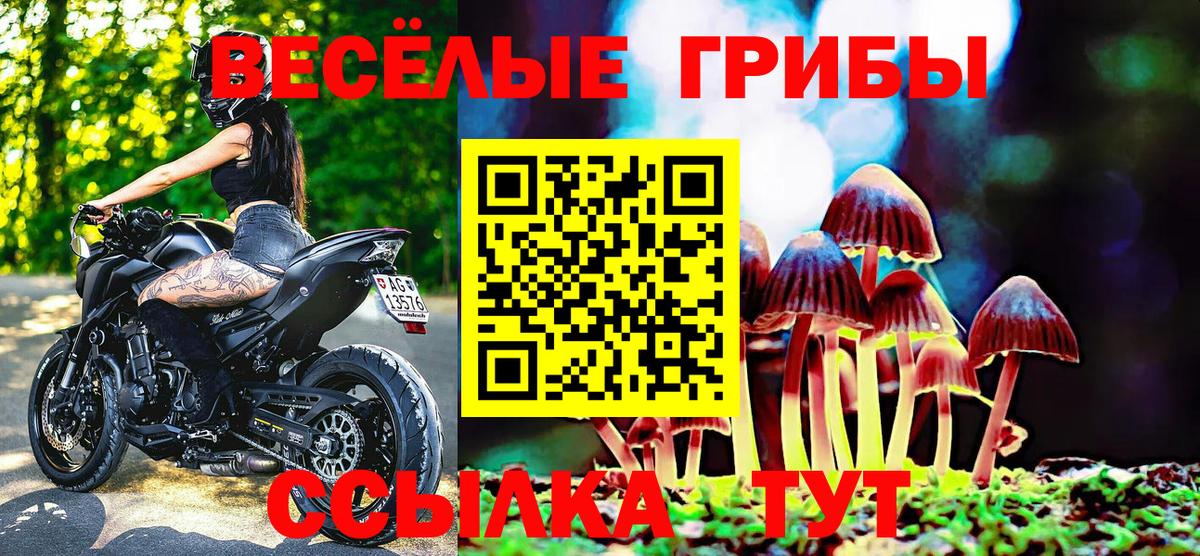 Псилоцибиновые грибы мицелий Домодедово